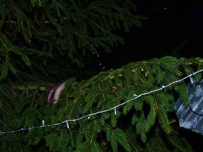 Image.ashx﹖id_org=13670&id_obrazky=1028&datum=12ꤷ6ꤷ2015+8﹕49﹕41+PM