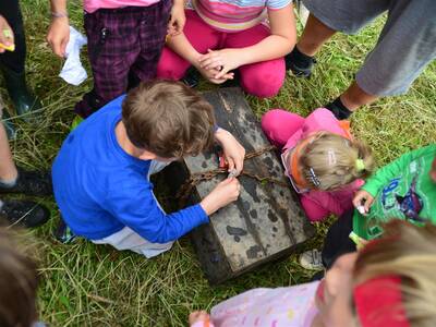 Image.ashx﹖id_org=13670&id_obrazky=2139&datum=6ꤷ20ꤷ2016+5﹕13﹕22+PM