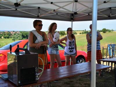 Image.ashx﹖id_org=13670&id_obrazky=2587&datum=7ꤷ20ꤷ2016+3﹕23﹕51+PM