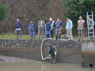 Image.ashx﹖id_org=13670&id_obrazky=2670&datum=11ꤷ30ꤷ2016+7﹕31﹕52+PM