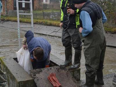 Image.ashx﹖id_org=13670&id_obrazky=2680&datum=11ꤷ30ꤷ2016+7﹕35﹕37+PM