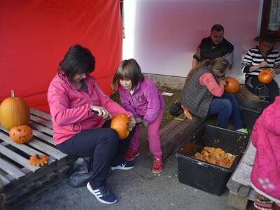 Image.ashx﹖id_org=13670&id_obrazky=5160&datum=1ꤷ16ꤷ2019+3﹕52﹕56+PM