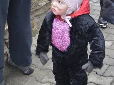 Image.ashx﹖id_org=13670&id_obrazky=5113&datum=1ꤷ16ꤷ2019+3﹕40﹕47+PM