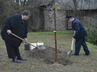 Image.ashx﹖id_org=13670&id_obrazky=5231&datum=1ꤷ16ꤷ2019+3﹕59﹕29+PM