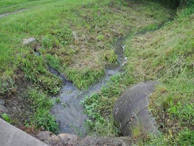 Image.ashx﹖id_org=13670&id_obrazky=5459&datum=6ꤷ25ꤷ2020+9﹕26﹕05+PM