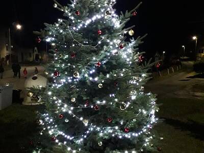 Image.ashx﹖id_org=13670&id_obrazky=5905&datum=1ꤷ4ꤷ2021+8﹕06﹕11+PM