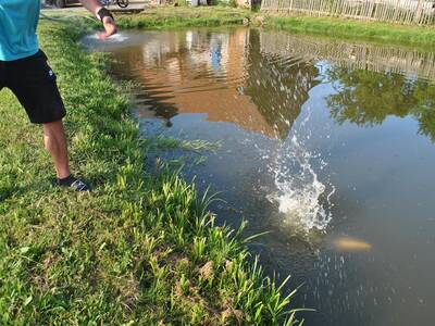 Image.ashx﹖id_org=13670&id_obrazky=5952&datum=6ꤷ21ꤷ2021+4﹕43﹕20+PM