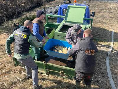 received_1228794472566727