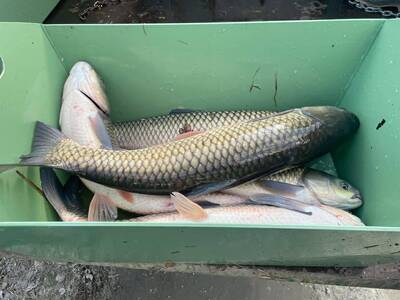 received_940710841685495