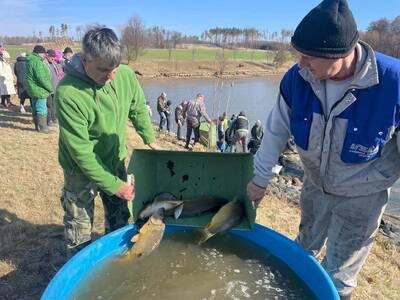 received_1574979830272149