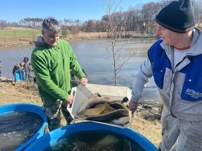 received_1406685147448011